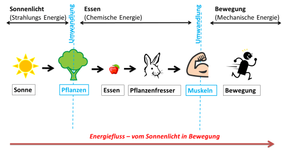 Energiefluss - von Sonnenlicht in Bewegung