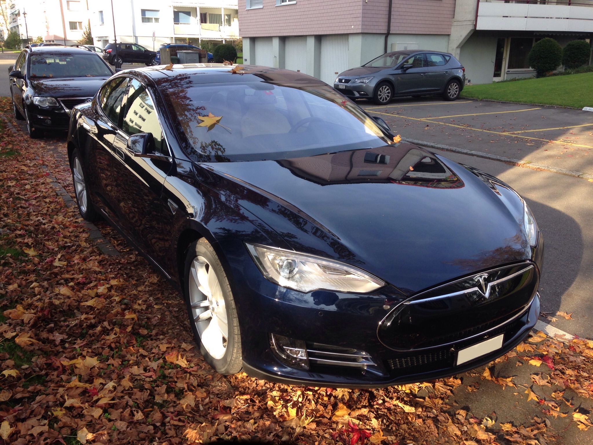 Tesla_Motors_black_Model_S_In_Switzerland_2014